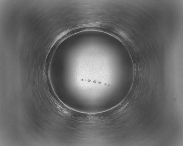 X0000052631308200507081929