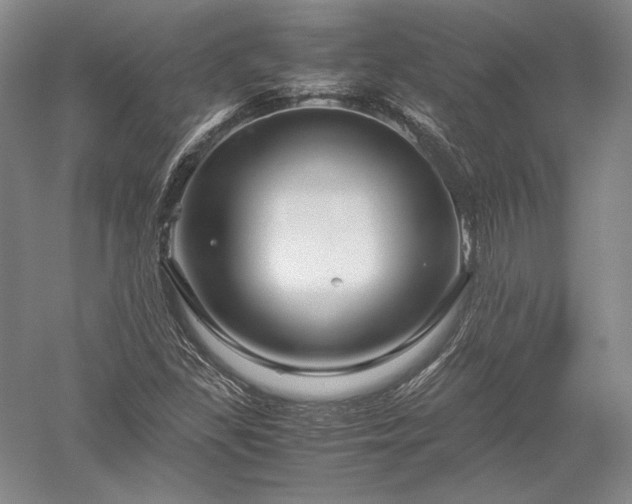 X0000052631309200507081929