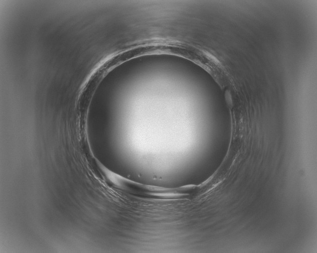 X0000052631310200507081929