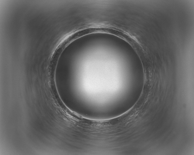 X0000052631311200507081929