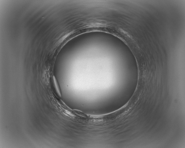 X0000052631313200507081929