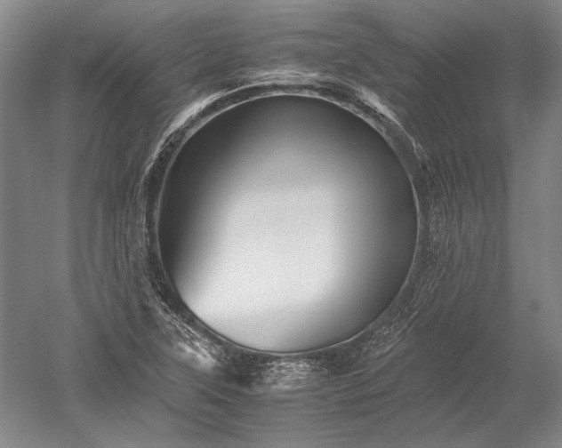X0000052631315200507081929