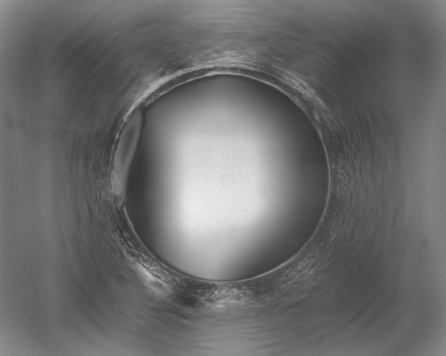 X0000052631316200507081929