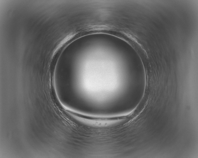 X0000052631317200507081929