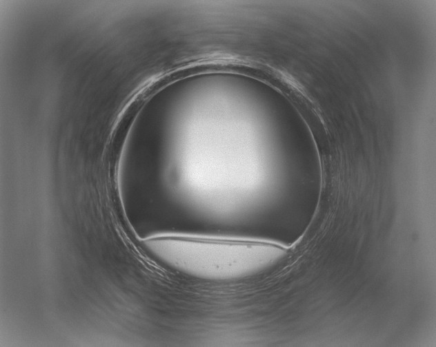 X0000052631318200507081929