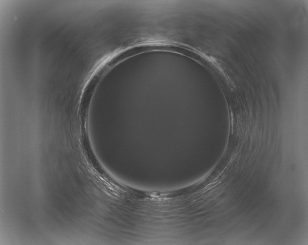 X0000052631319200507081929