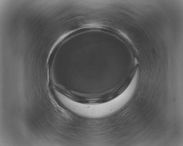 X0000052631323200507081929