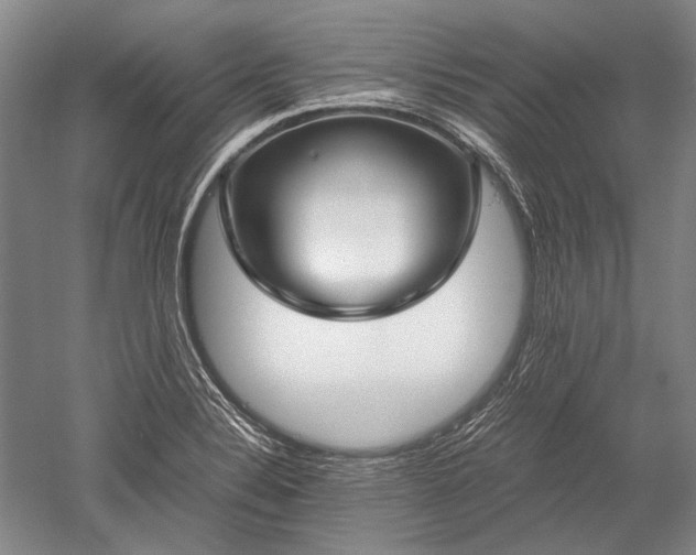 X0000052631324200507081929