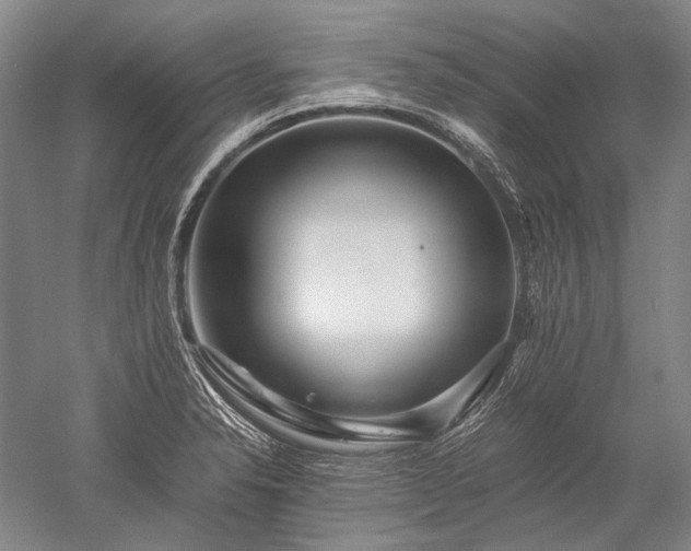 X0000052631326200507081929
