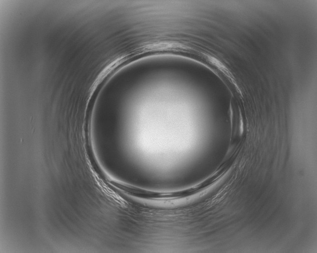 X0000052631330200507081929