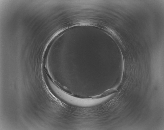 X0000052631331200507081929