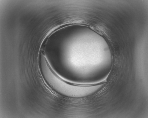 X0000052631332200507081929