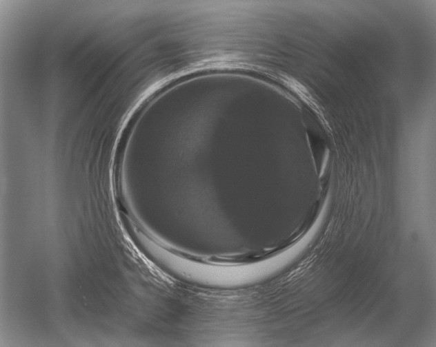 X0000052631334200507081929
