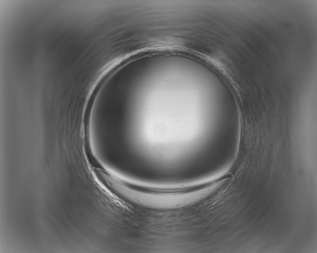 X0000052631335200507081929