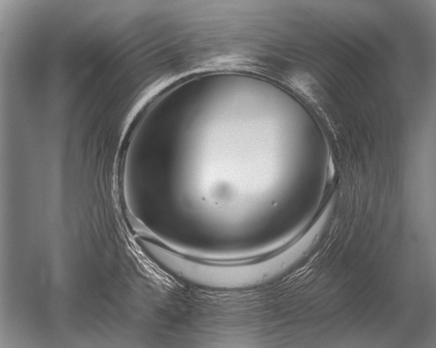 X0000052631336200507081929