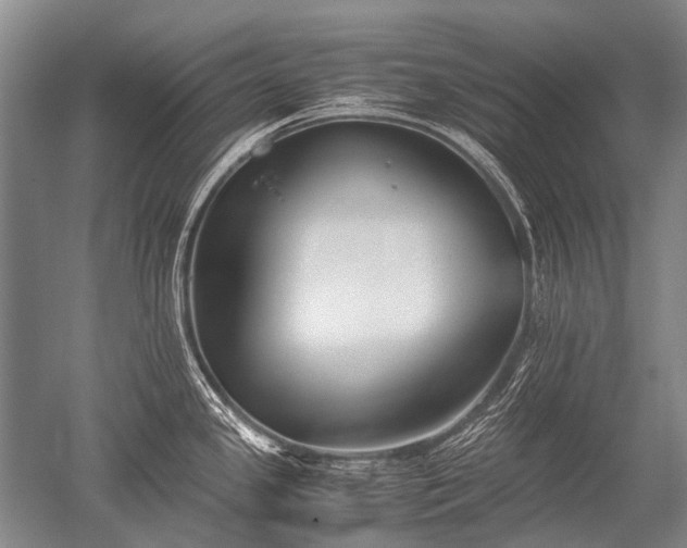 X0000052631341200507081929