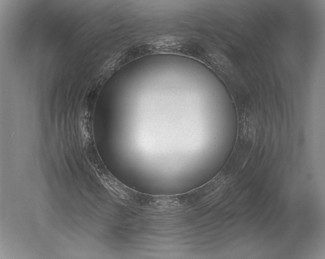 X0000052631346200507081929