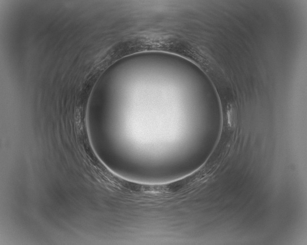 X0000052631347200507081929