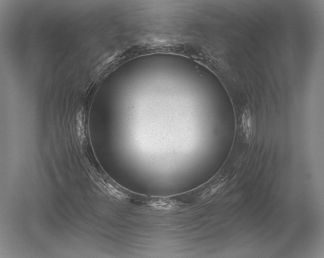 X0000052631348200507081929