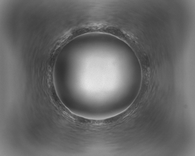 X0000052631349200507081929