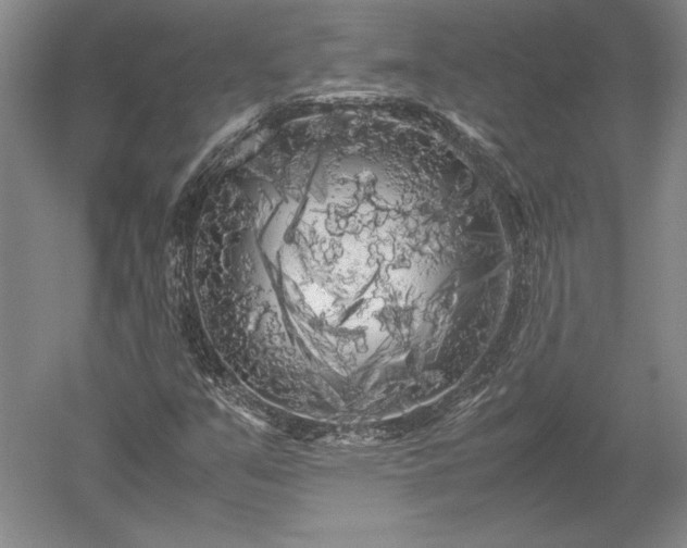 X0000052631351200507081929