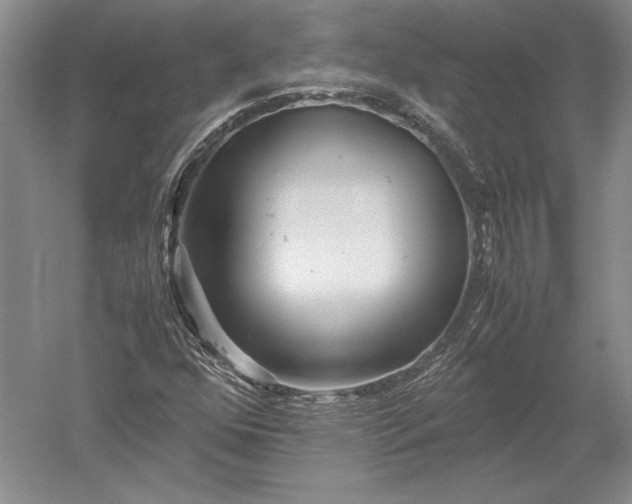 X0000052631352200507081928