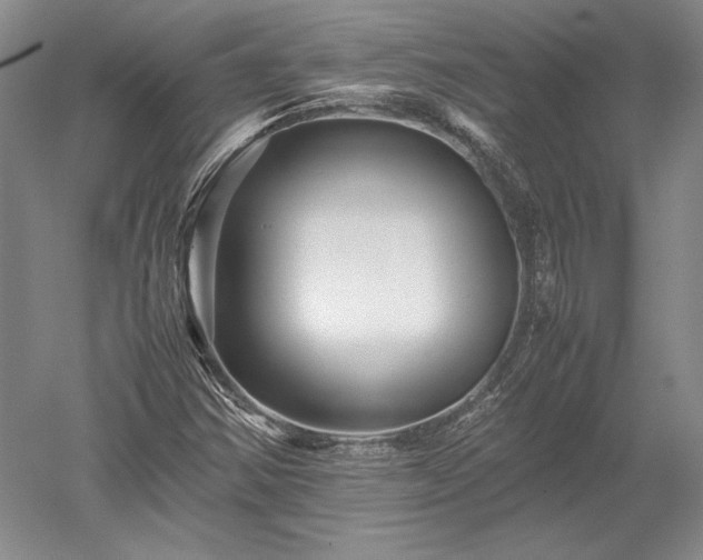 X0000052631354200507081928