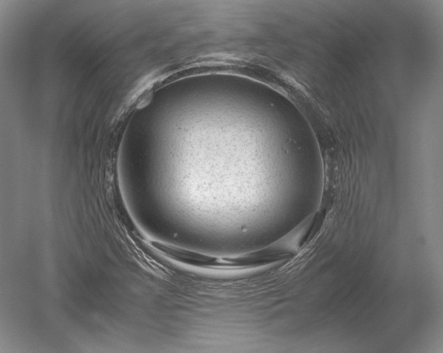 X0000052631355200507081928