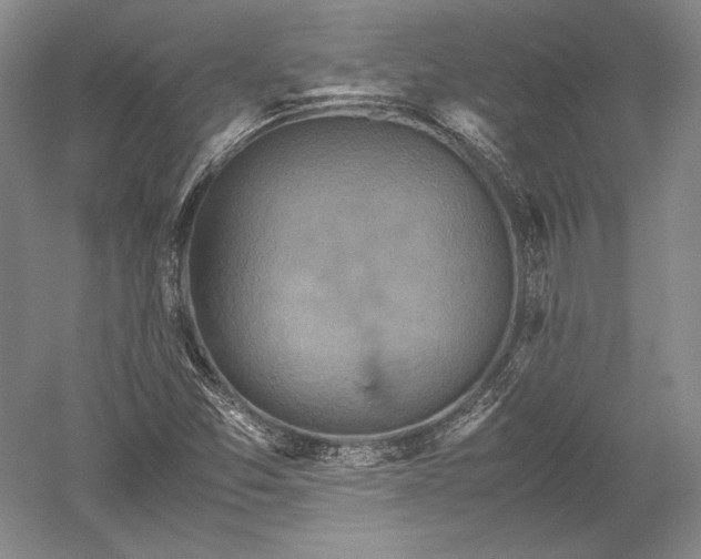 X0000052631357200507081928