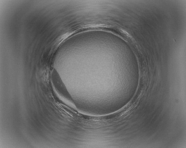 X0000052631361200507081928