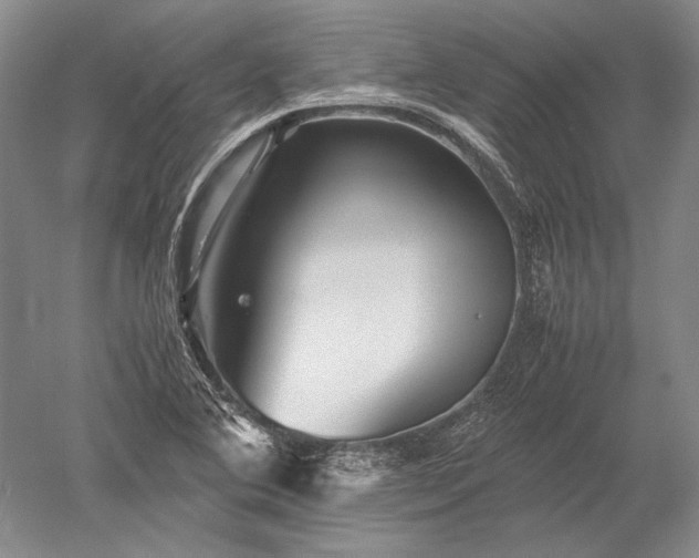 X0000052631364200507081928
