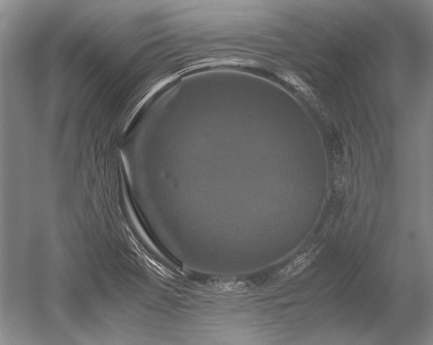 X0000052631369200507081928