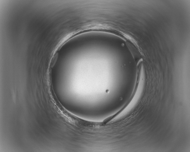 X0000052631375200507081928