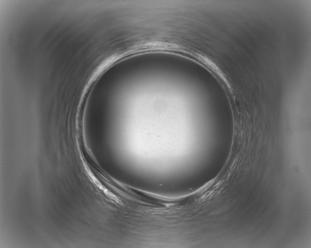 X0000052631381200507081928