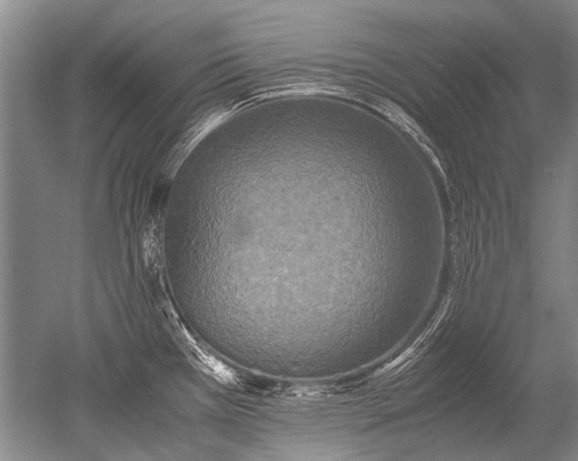 X0000052631385200507081928
