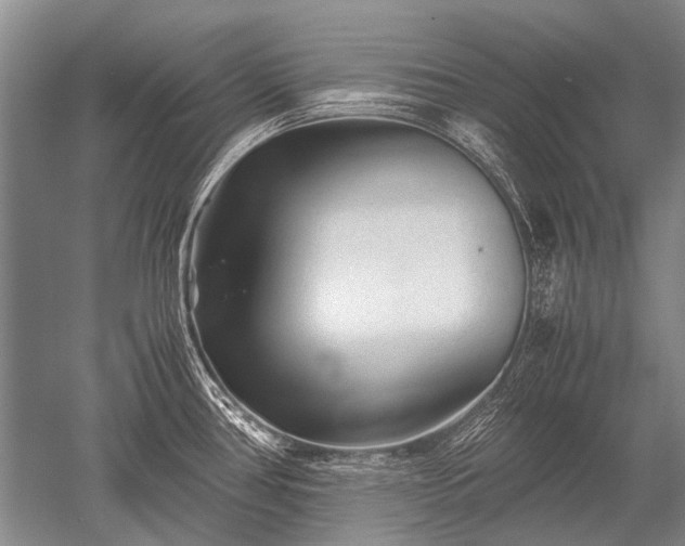 X0000052631386200507081928