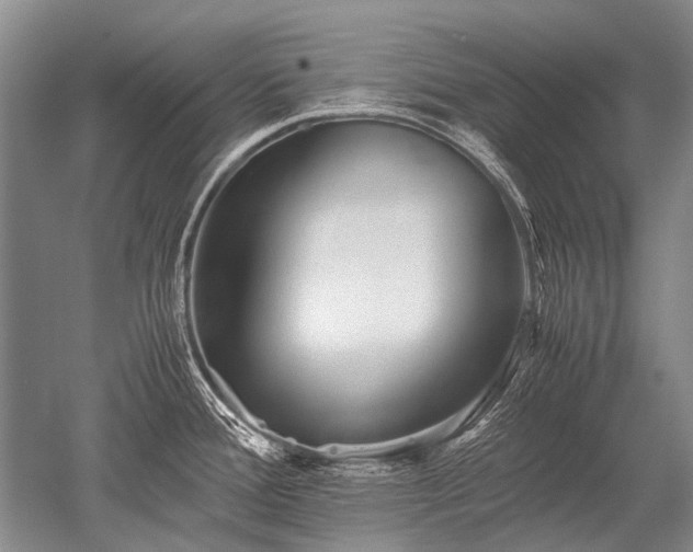 X0000052631388200507081928