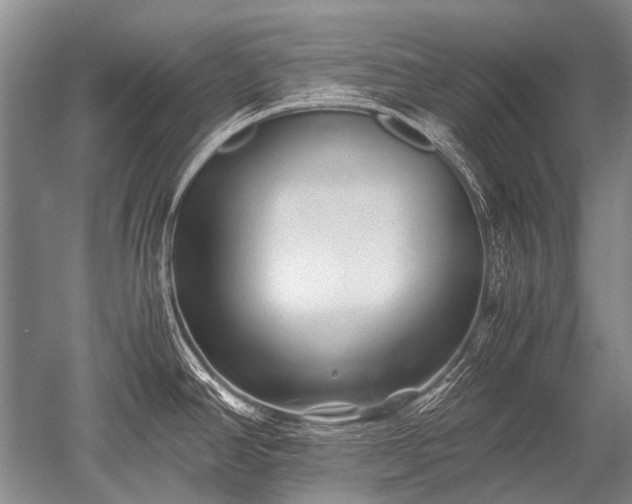 X0000052631390200507081928