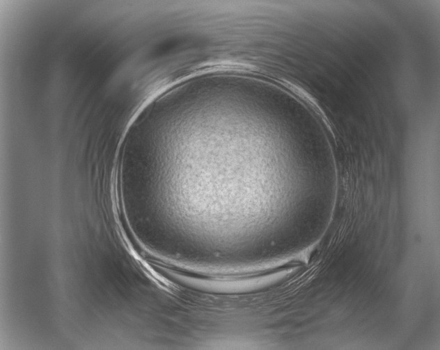 X0000052631391200507081928