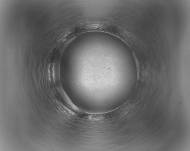 X0000052631394200507081927