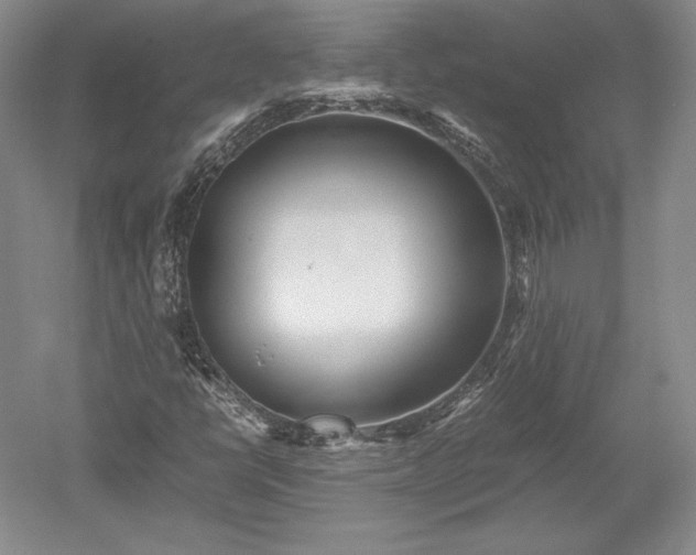 X0000052631398200507081927
