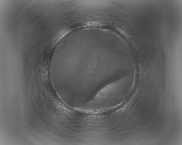 X0000052631401200507081927
