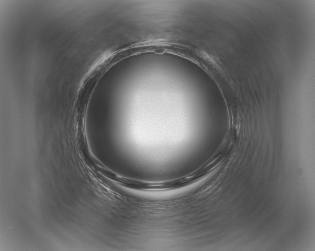 X0000052631406200507081927