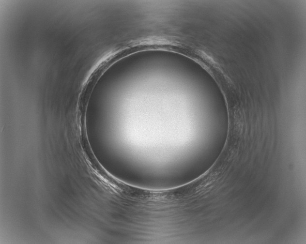 X0000052631408200507081927
