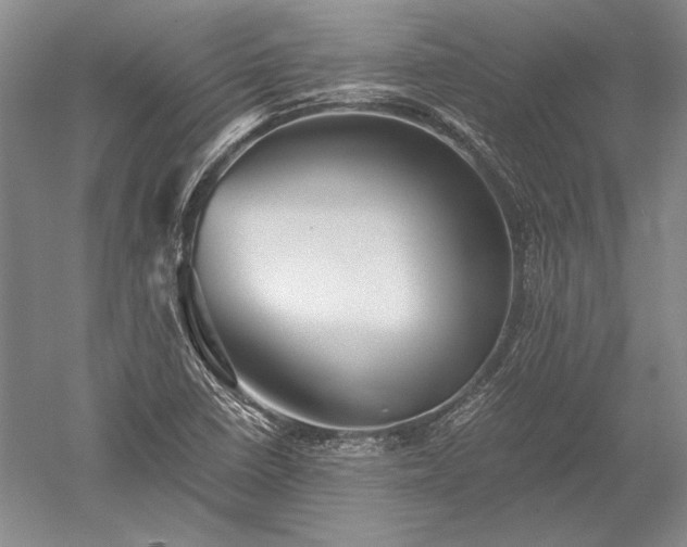 X0000052631410200507081927