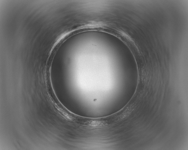 X0000052631412200507081927
