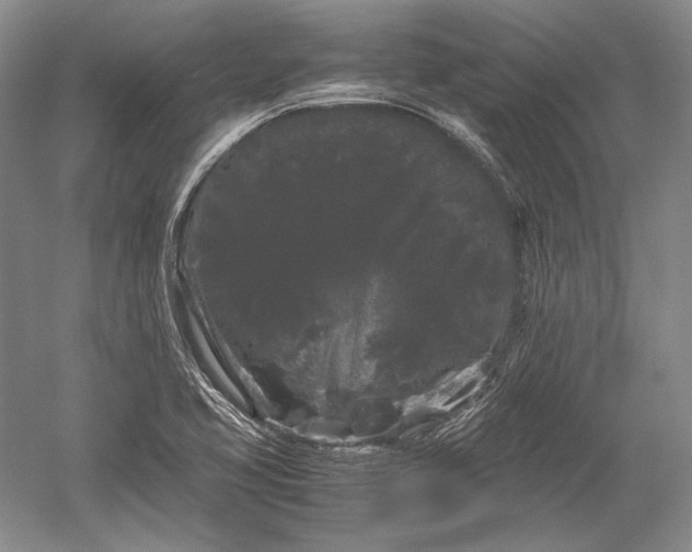 X0000052631413200507081927