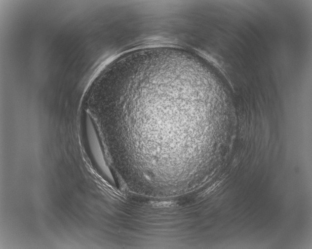 X0000052631415200507081927