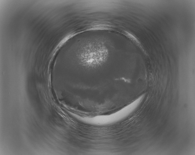 X0000052631419200507081927