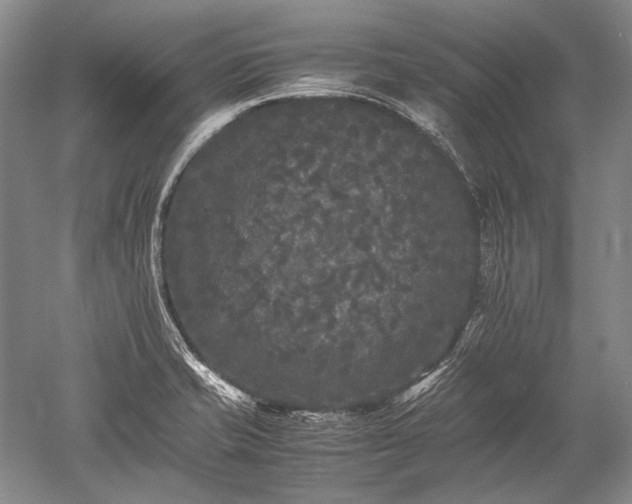 X0000052631421200507081927